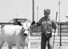 Bridger Erikson wins Grand Champion Heifer with his British White Junior Yearling Heifer.